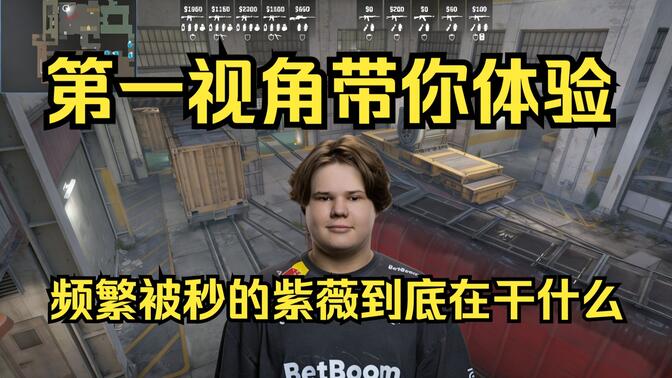 阵容
