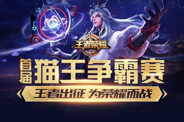 条小龙JD